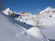 Col de fremamorte