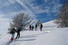 randonnée raquettes à neige